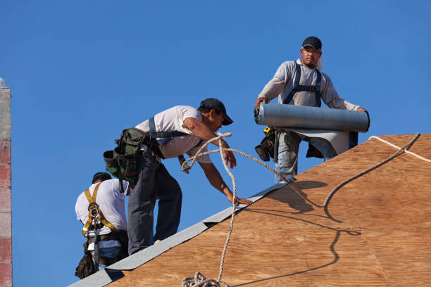 Best Commercial Roofing Services  in Waterloo, NE
