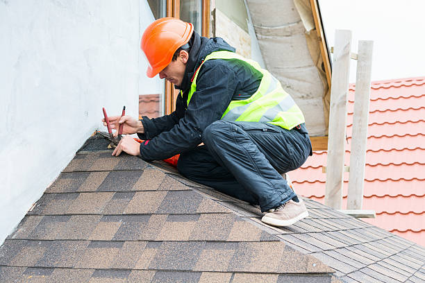 Best Residential Roofing Contractor  in Waterloo, NE